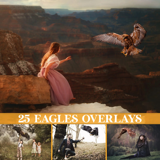Eagle Overlays for Photoshop - Flying Bald Eagle and Patriotic Effects