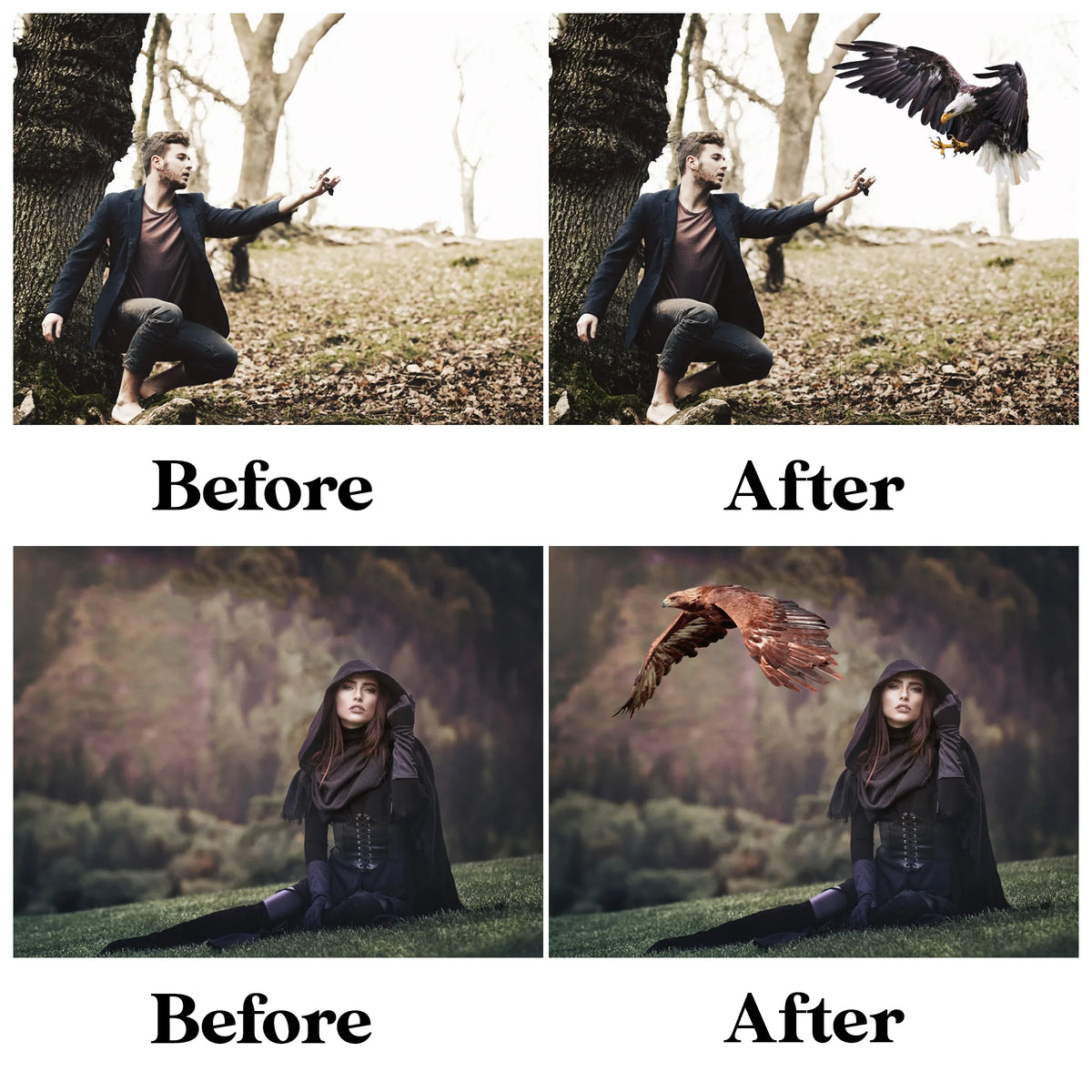 Eagle Overlays for Photoshop - Flying Bald Eagle and Patriotic Effects