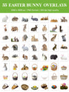 Easter Overlay for Photoshop - Bunny and Spring Animal PNG