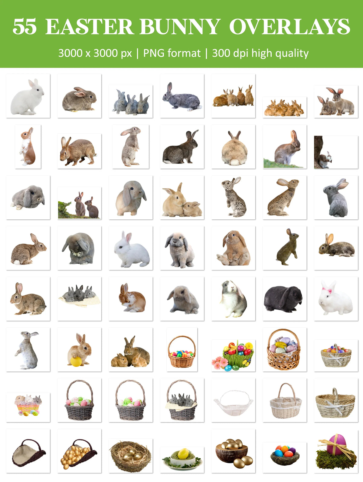 Easter Overlay for Photoshop - Bunny and Spring Animal PNG