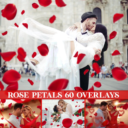 Falling Rose Petals Overlay for Photoshop - Valentine's Wedding Effects