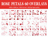 Falling Rose Petals Overlay for Photoshop - Valentine's Wedding Effects
