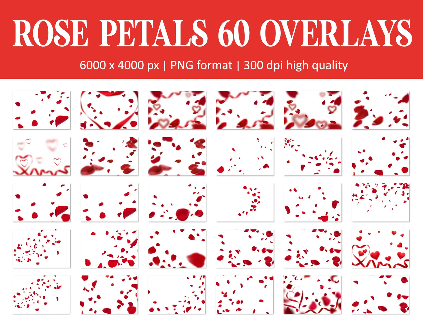 Falling Rose Petals Overlay for Photoshop - Valentine's Wedding Effects