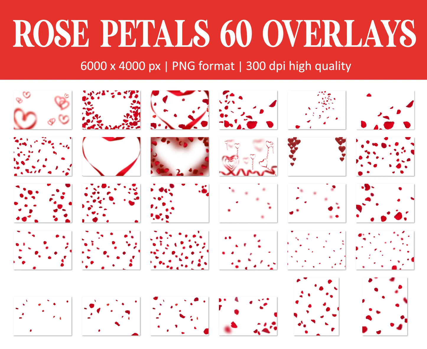 Falling Rose Petals Overlay for Photoshop - Valentine's Wedding Effects