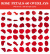 Falling Rose Petals Overlay for Photoshop - Valentine's Wedding Effects