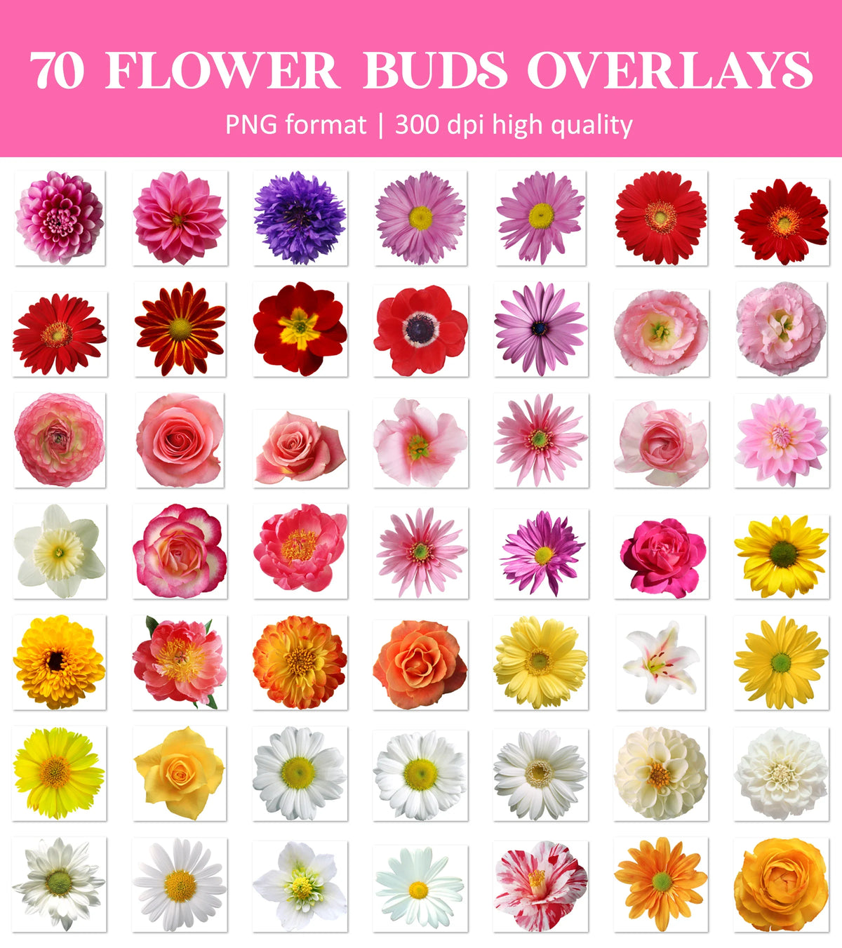 Flower Bud Overlays for Photoshop - Hair Clip and Floral Accent Effects