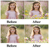Flower Meadow Overlays for Photoshop - Spring and Summer Wildflowers