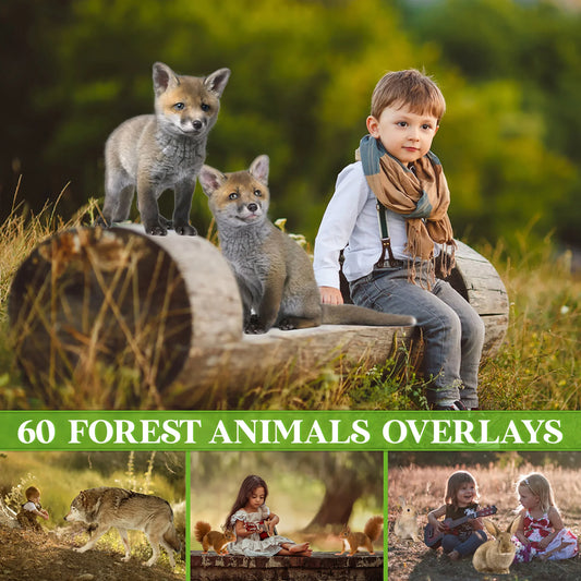 Forest Animal Overlays for Photoshop - Wolf, Fox and Hedgehog PNG