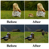 Forest Animal Overlays for Photoshop - Wolf, Fox and Hedgehog PNG