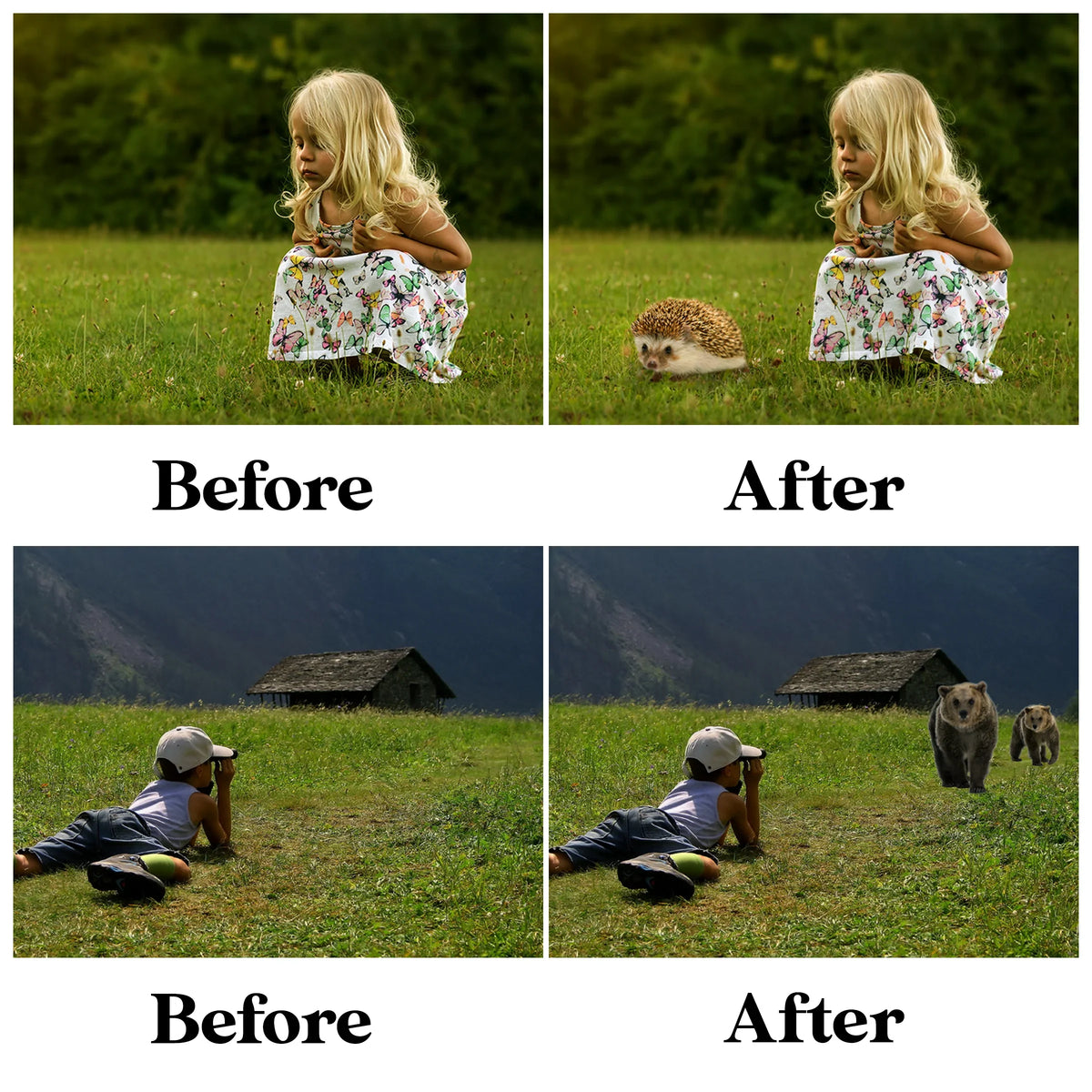 Forest Animal Overlays for Photoshop - Wolf, Fox and Hedgehog PNG