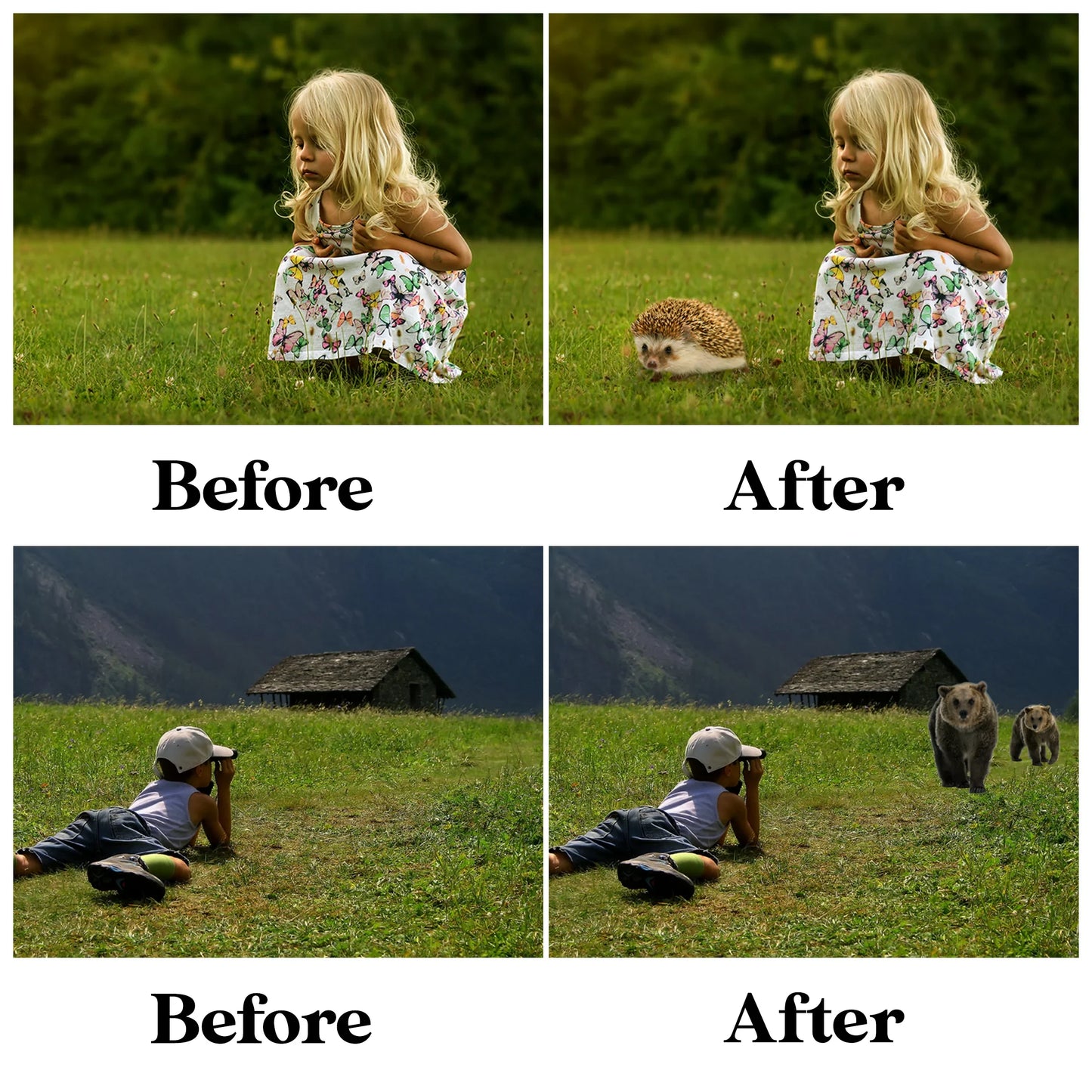 Forest Animal Overlays for Photoshop - Wolf, Fox and Hedgehog PNG