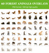 Forest Animal Overlays for Photoshop - Wolf, Fox and Hedgehog PNG