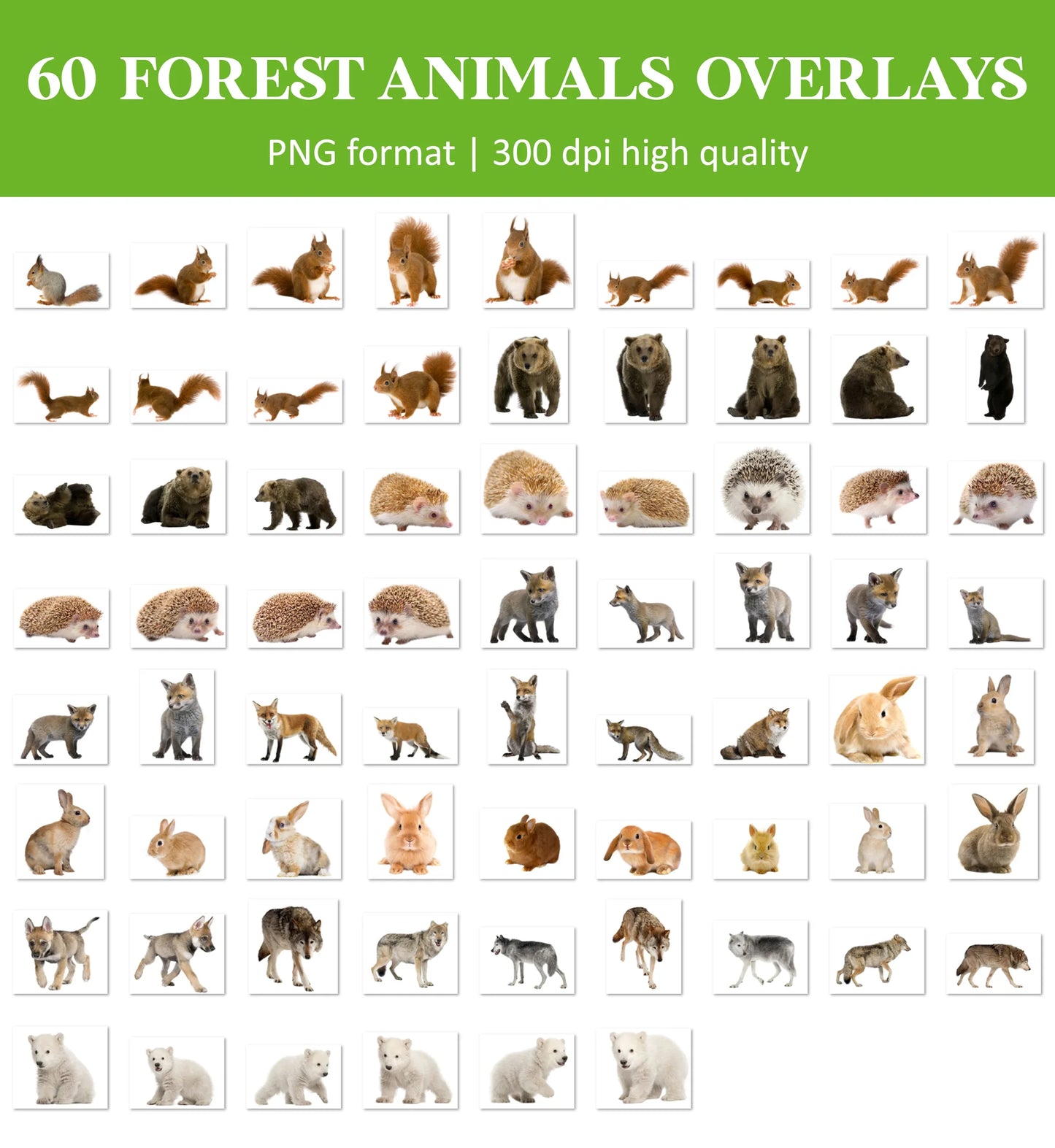 Forest Animal Overlays for Photoshop - Wolf, Fox and Hedgehog PNG