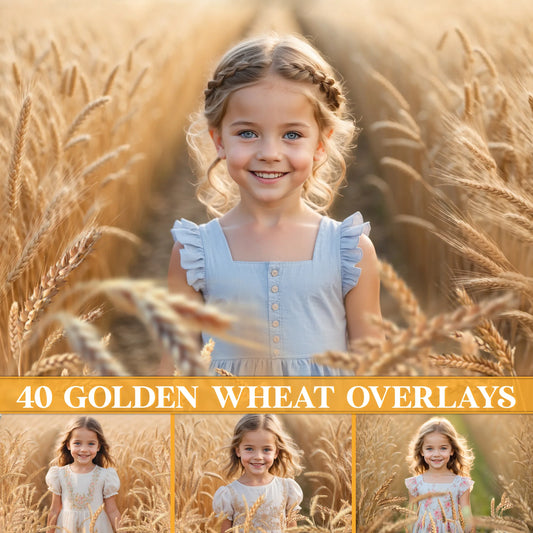 Golden Wheat Field Overlays for Photoshop - Summer Flower Fields