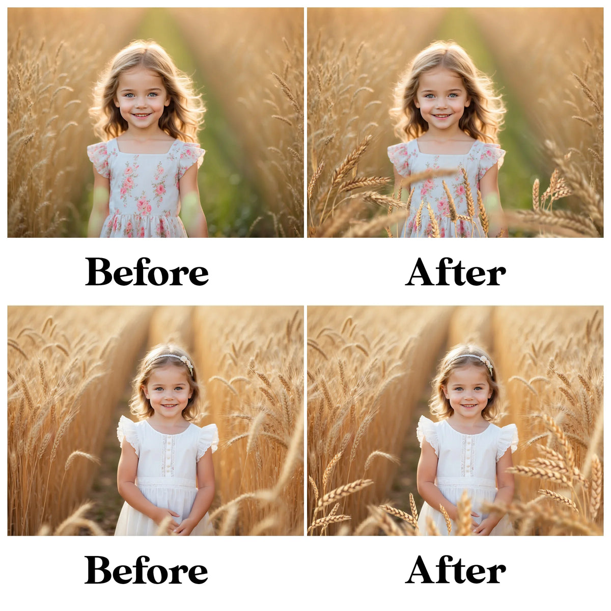 Golden Wheat Field Overlays for Photoshop - Summer Flower Fields