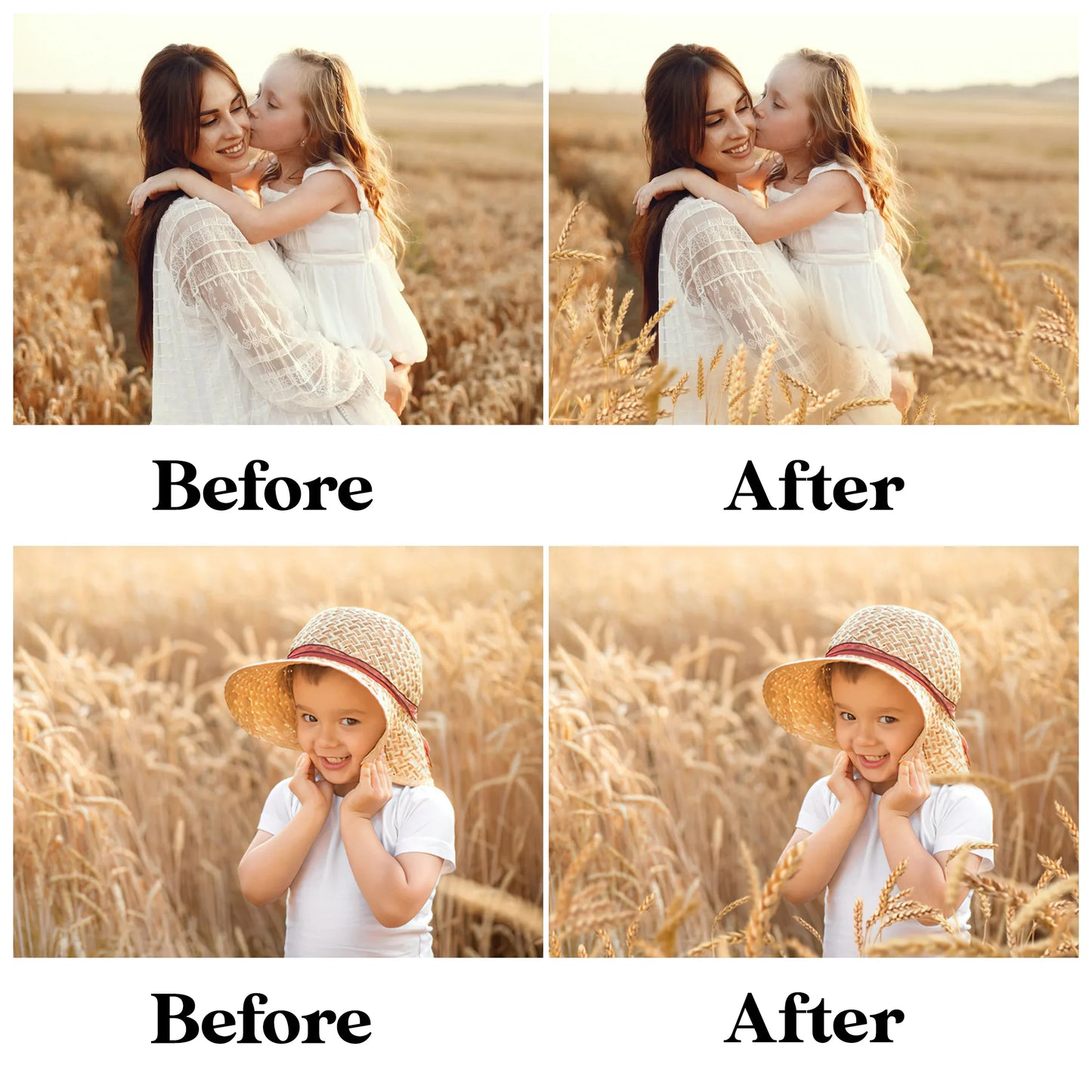 Golden Wheat Field Overlays for Photoshop - Summer Flower Fields