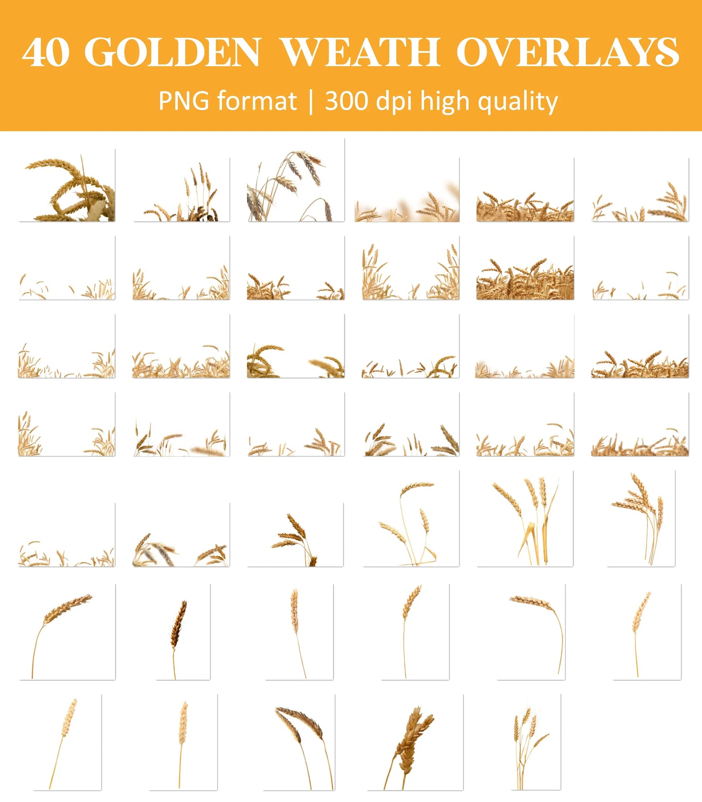 Golden Wheat Field Overlays for Photoshop - Summer Flower Fields