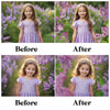 Lilac Flower Overlays for Photoshop - Spring Blossom Branches