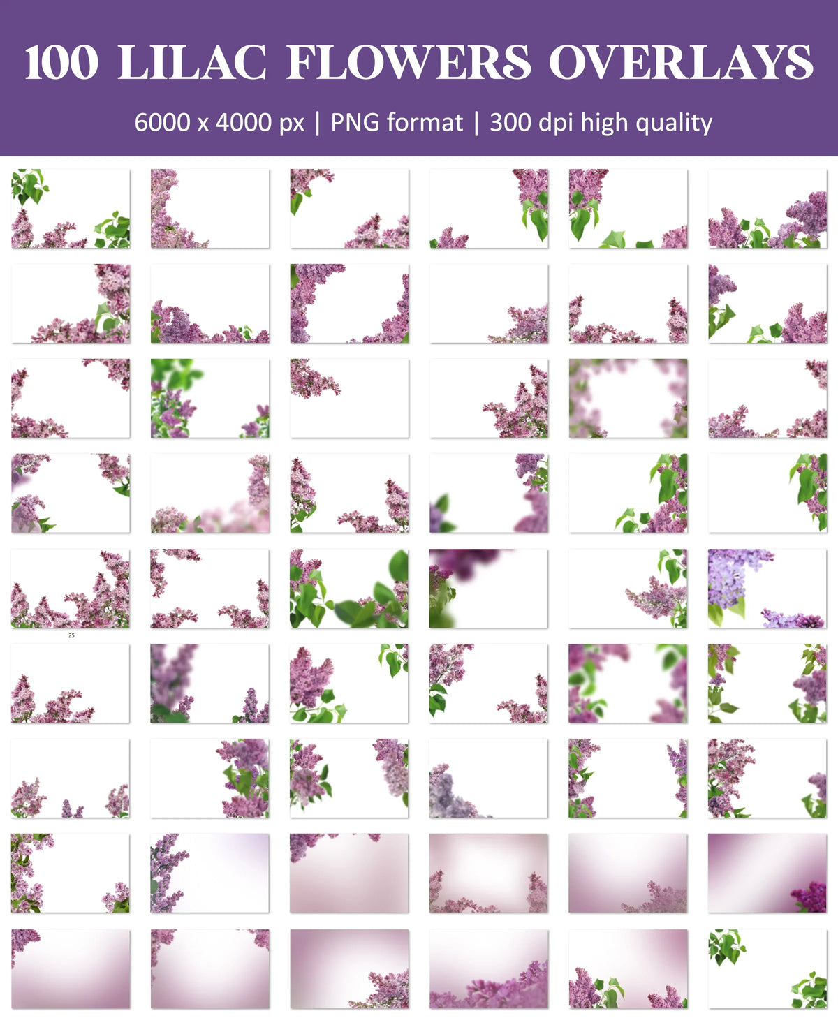 Lilac Flower Overlays for Photoshop - Spring Blossom Branches