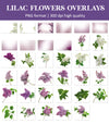 Lilac Flower Overlays for Photoshop - Spring Blossom Branches