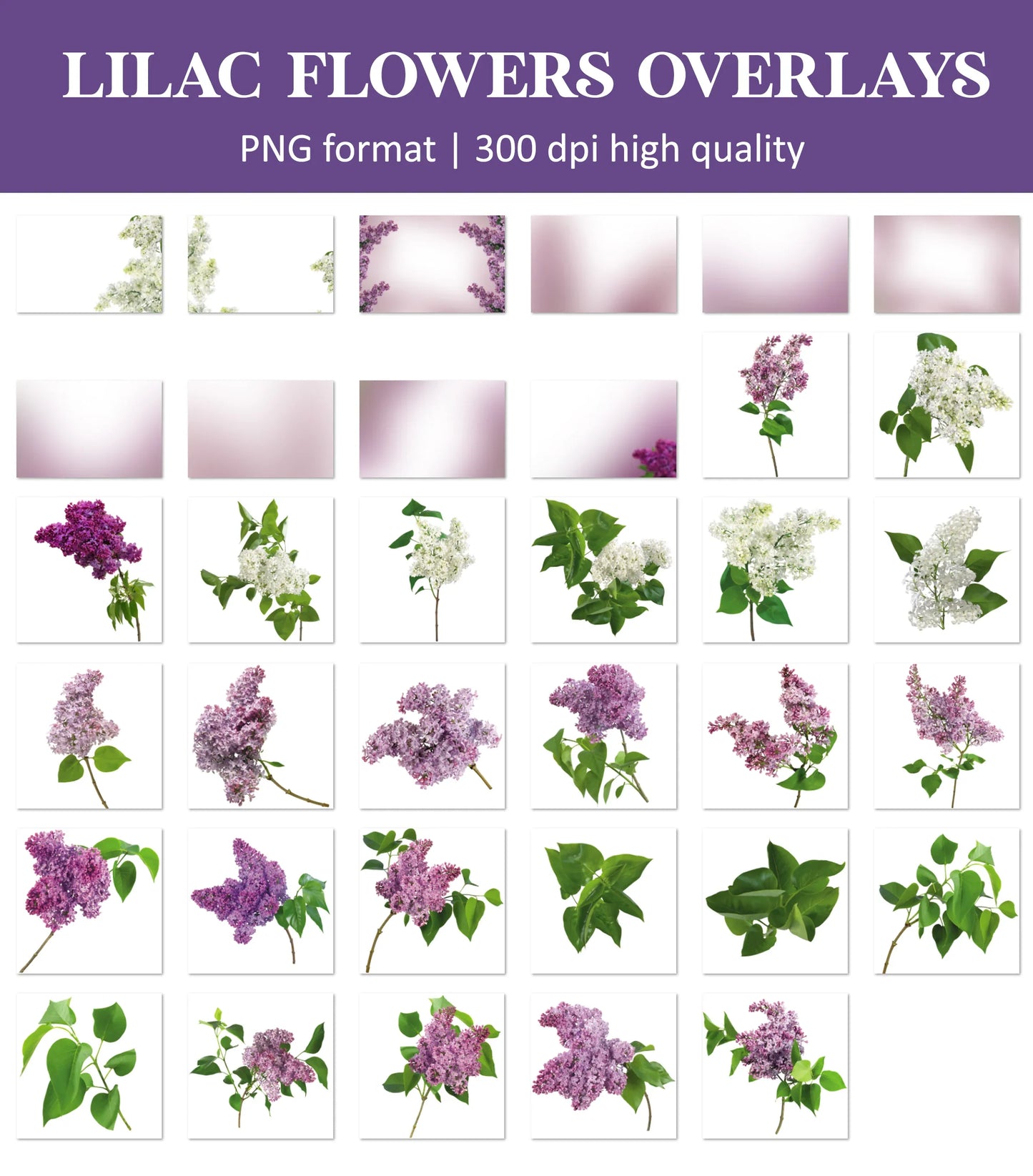 Lilac Flower Overlays for Photoshop - Spring Blossom Branches