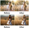 Natural Sunlight Overlays for Photoshop - Sunbeam and Ray Effects