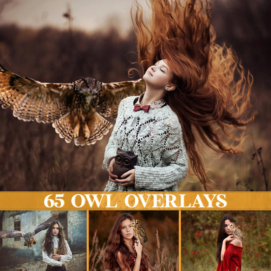 Owl Overlays for Photoshop - Night Bird and Woodland Creature Effects