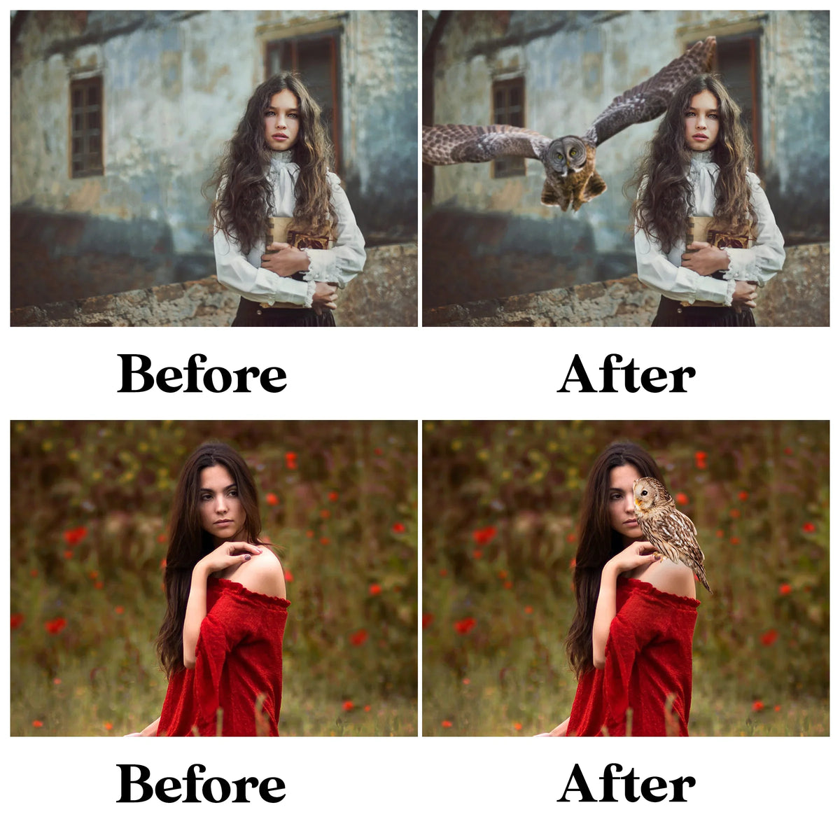 Owl Overlays for Photoshop - Night Bird and Woodland Creature Effects