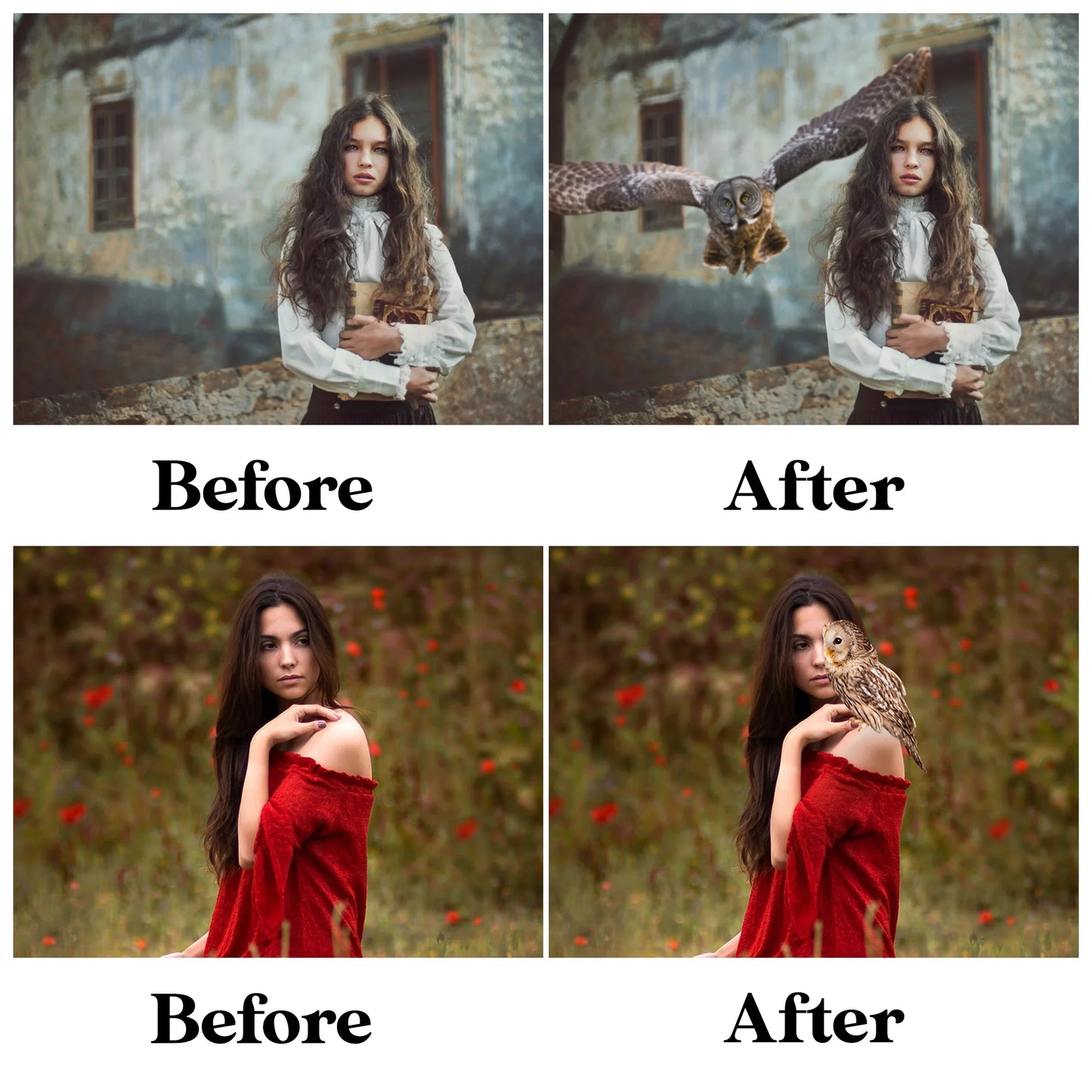 Owl Overlays for Photoshop - Night Bird and Woodland Creature Effects