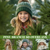 Pine Branch Overlays for Photoshop - Christmas Tree Elements