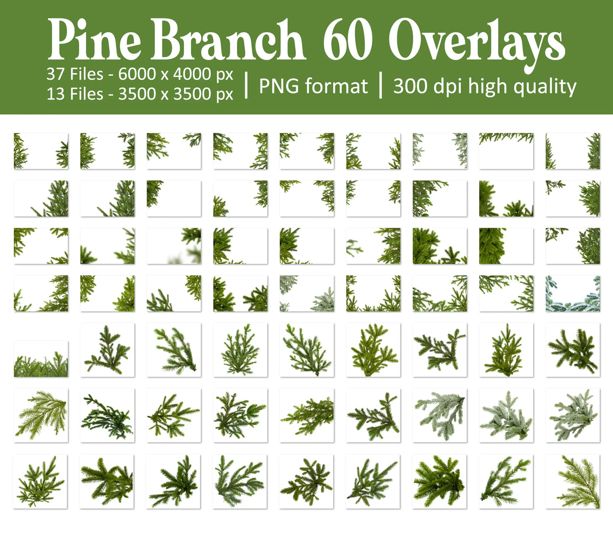 Pine Branch Overlays for Photoshop - Christmas Tree Elements