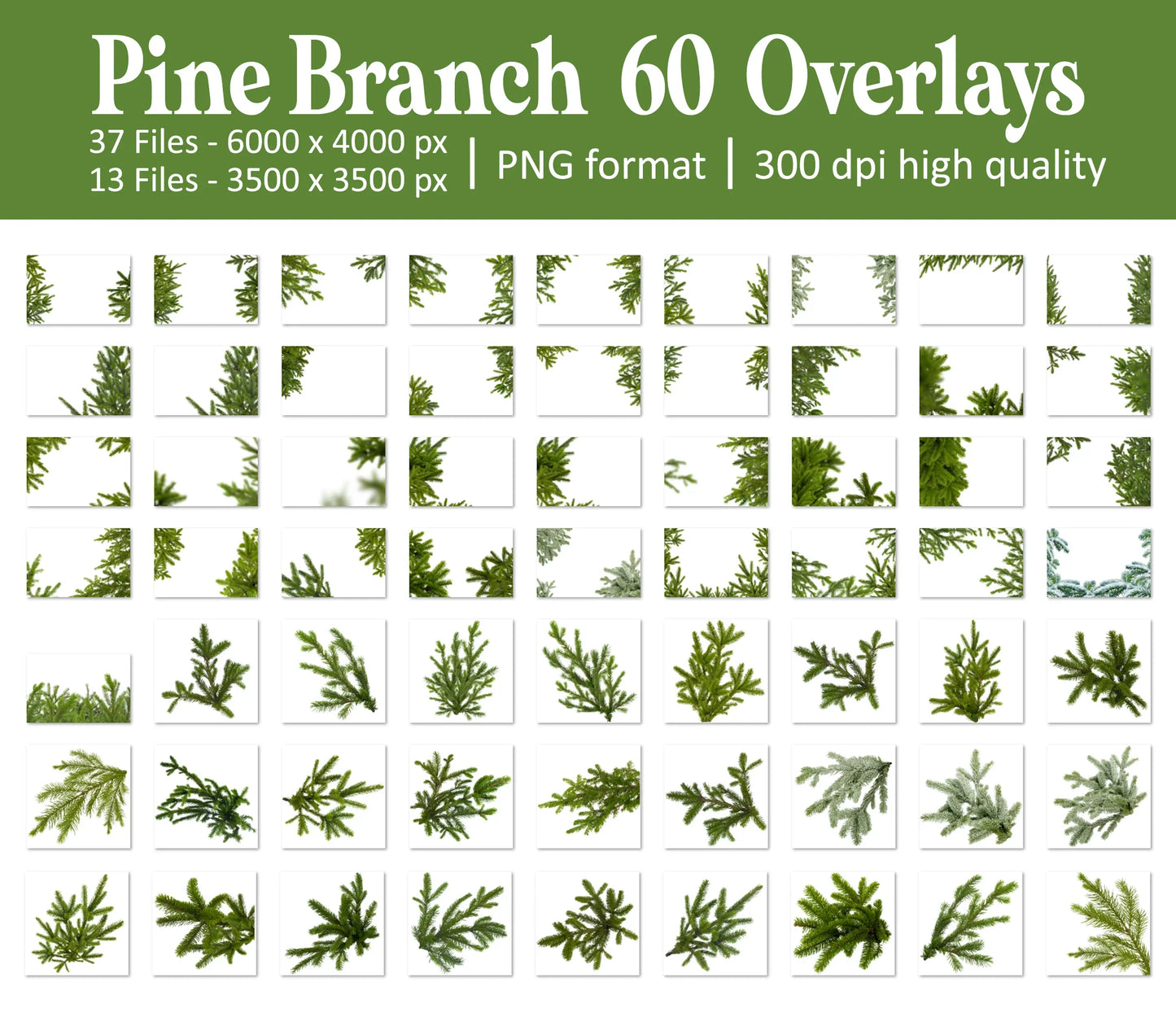 Pine Branch Overlays for Photoshop - Christmas Tree Elements