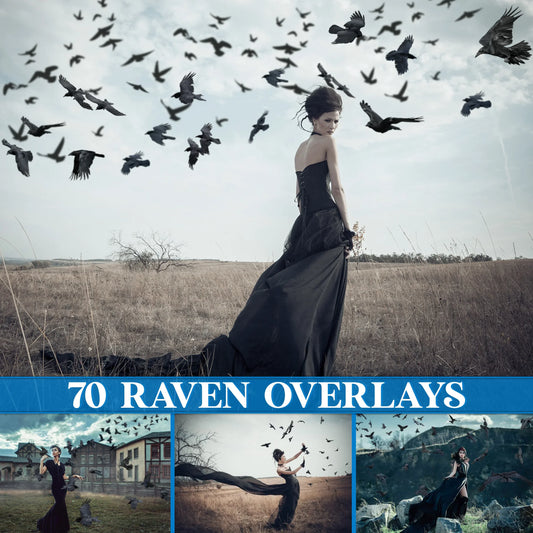 Raven Crow Overlays for Photoshop - Realistic Gothic Birds and Flock PNG