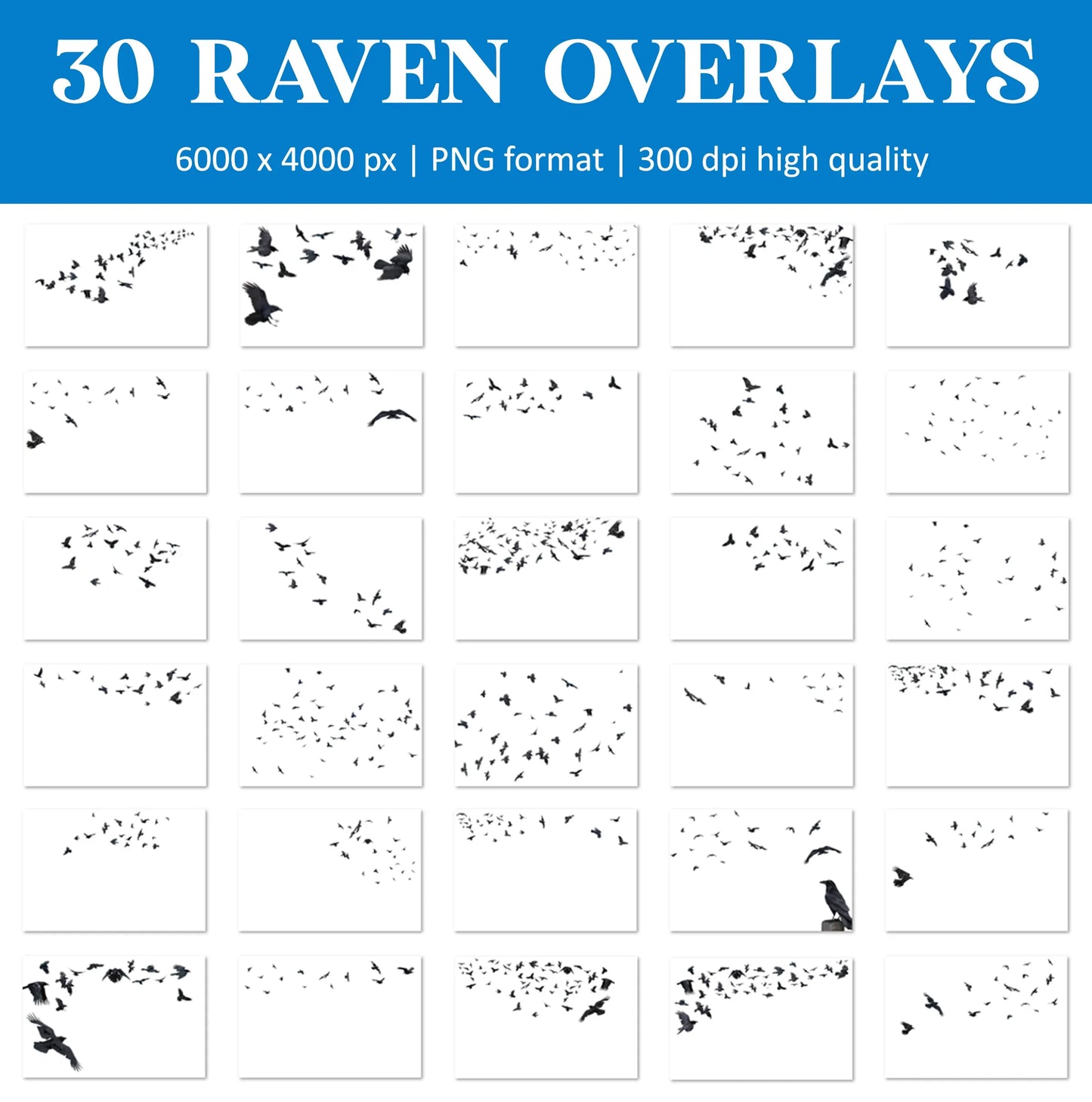 Raven Crow Overlays for Photoshop - Realistic Gothic Birds and Flock PNG
