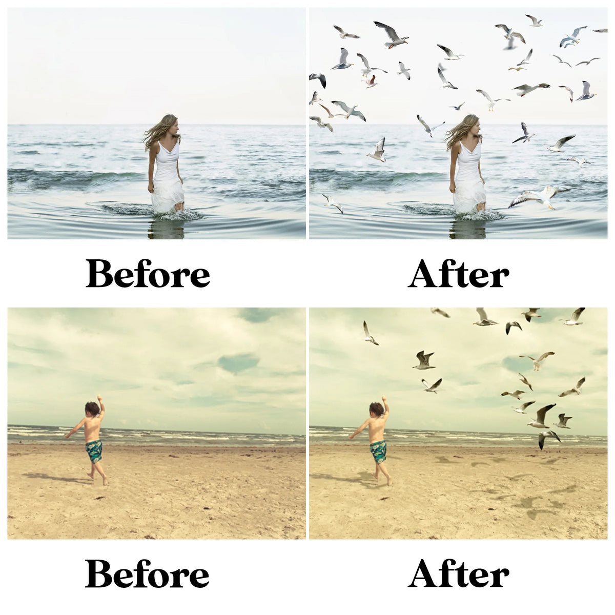 Realistic Seagull Overlays for Photoshop - Flying Bird Flock and Summer PNG