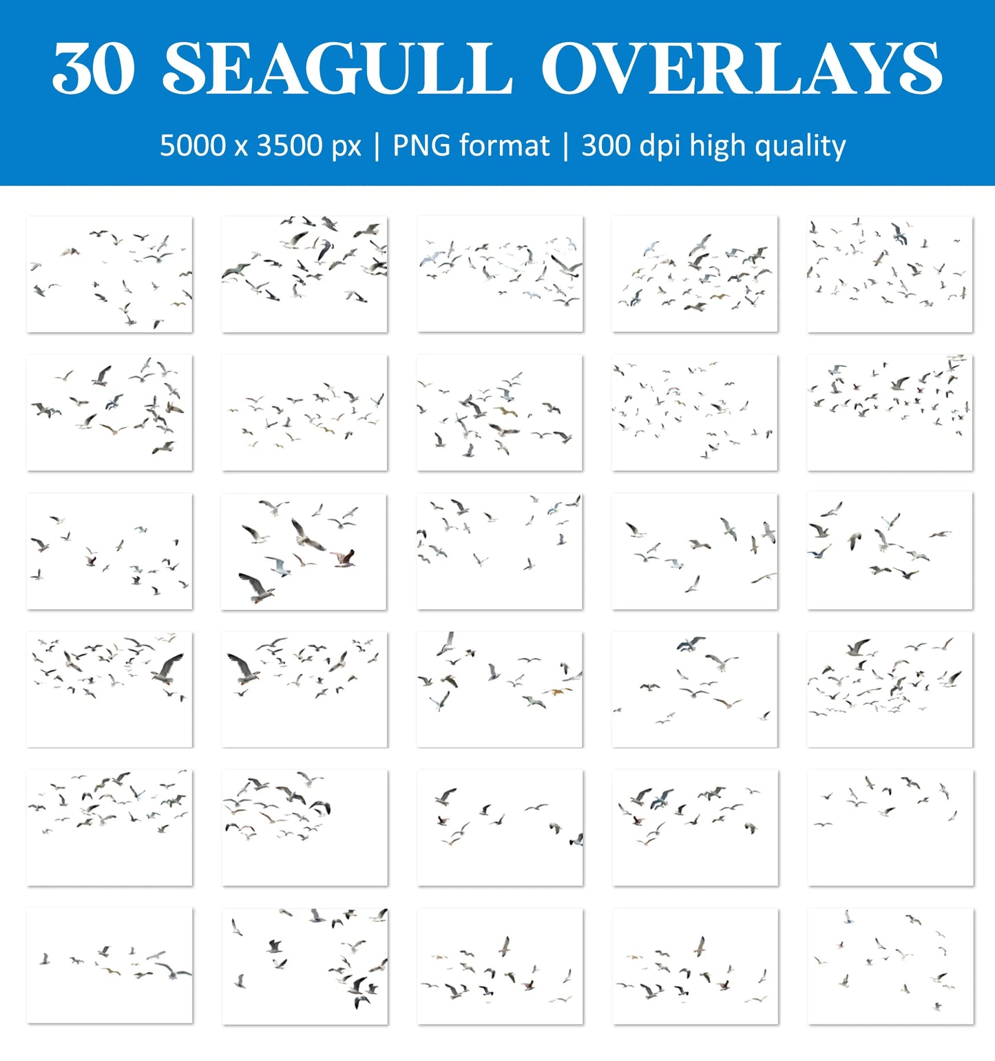 Realistic Seagull Overlays for Photoshop - Flying Bird Flock and Summer PNG