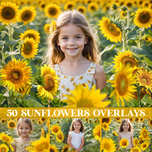 Sunflower Field Overlays for Photoshop - Summer Wildflower and Golden Petal Effects
