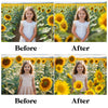 Sunflower Field Overlays for Photoshop - Summer Wildflower and Golden Petal Effects