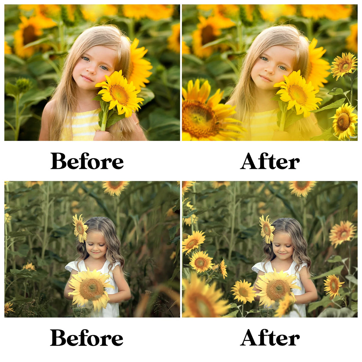Sunflower Field Overlays for Photoshop - Summer Wildflower and Golden Petal Effects