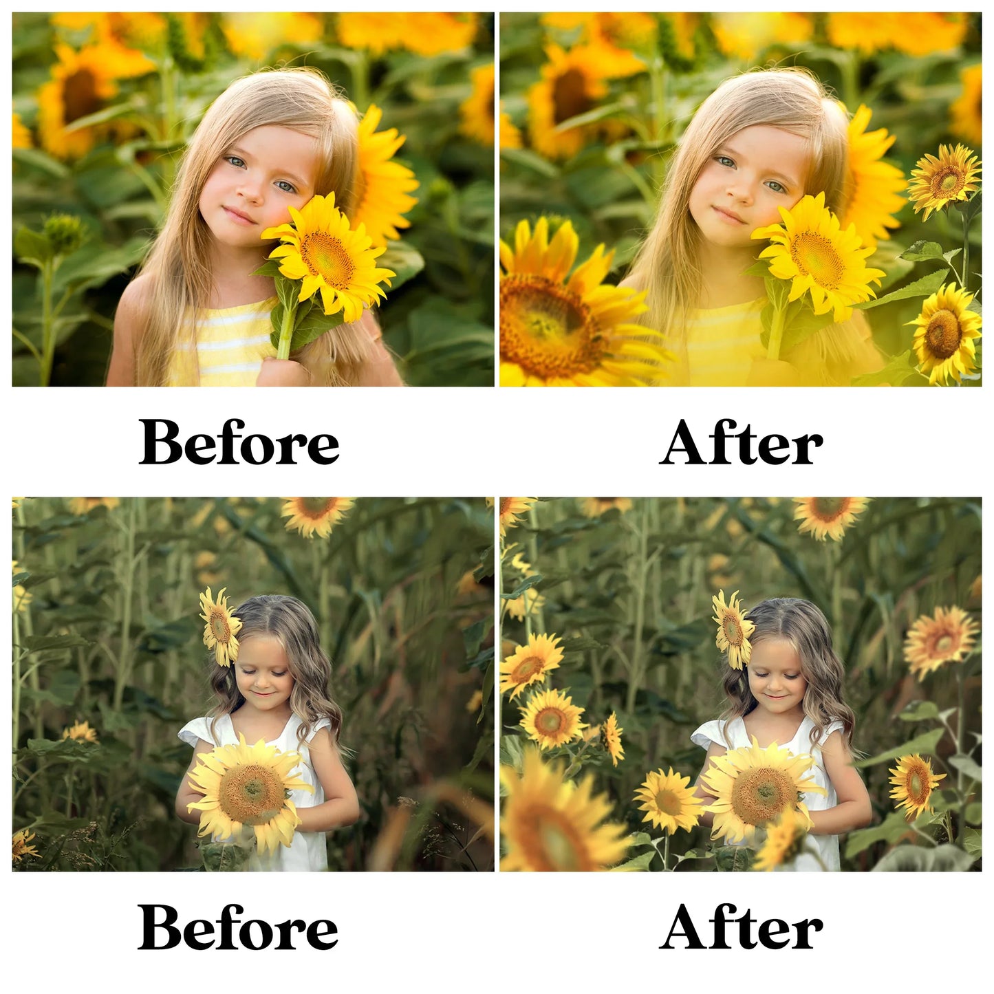 Sunflower Field Overlays for Photoshop - Summer Wildflower and Golden Petal Effects
