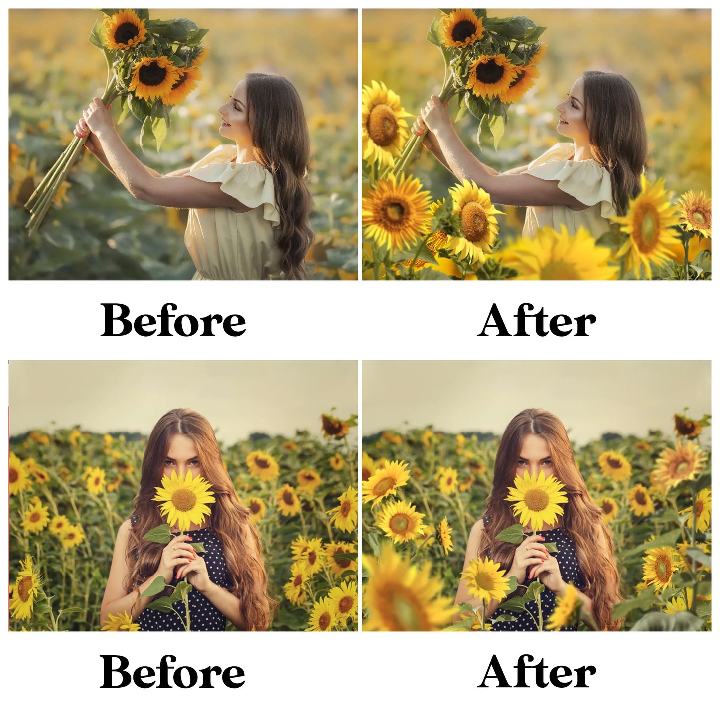 Sunflower Field Overlays for Photoshop - Summer Wildflower and Golden Petal Effects