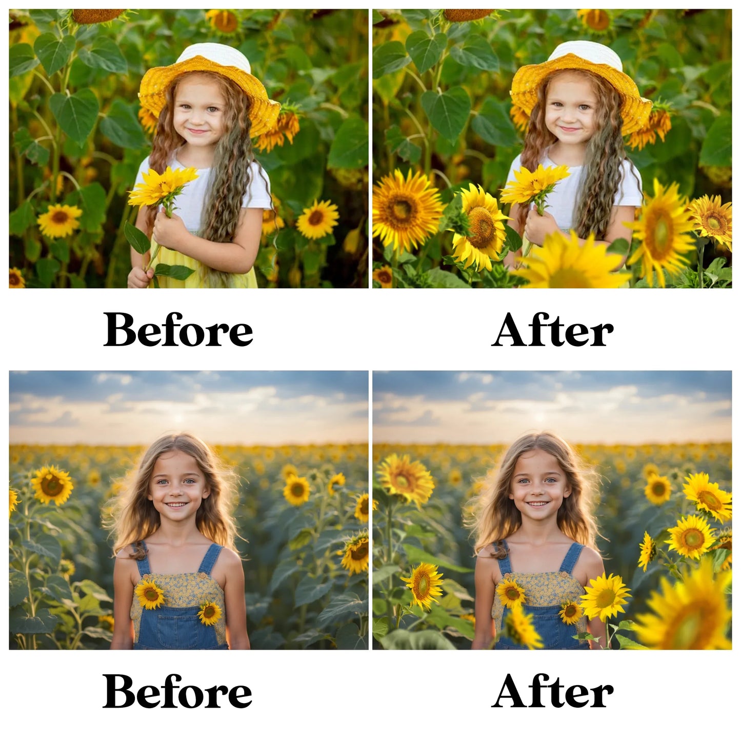 Sunflower Field Overlays for Photoshop - Summer Wildflower and Golden Petal Effects
