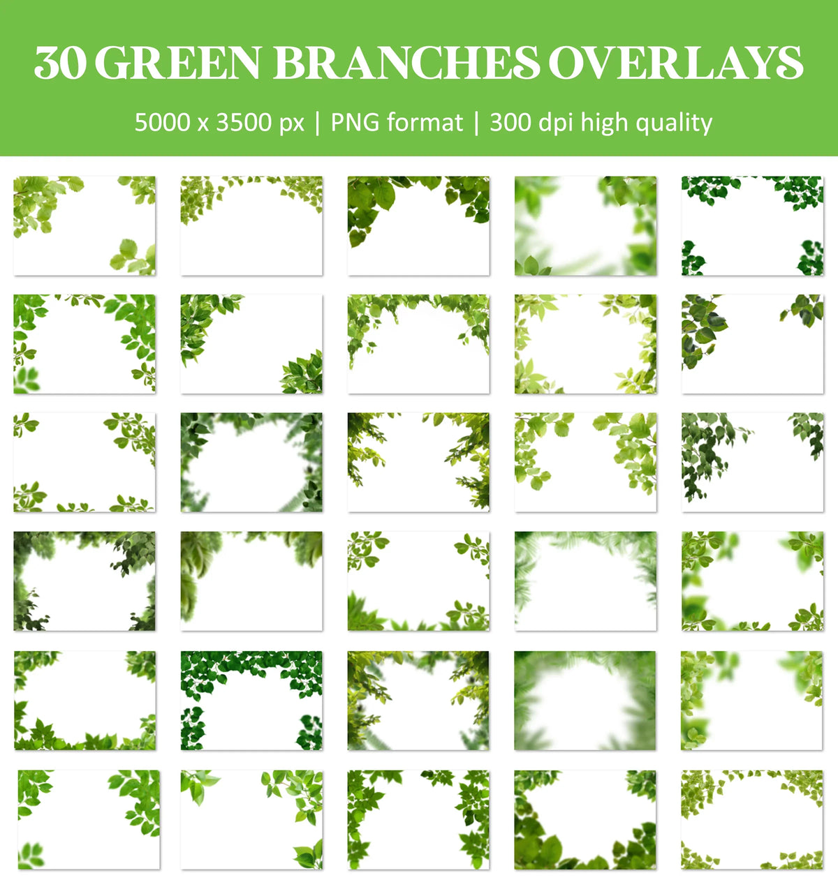 Tree Branch Overlays for Photoshop - Green Leaf Shoot-Throughs