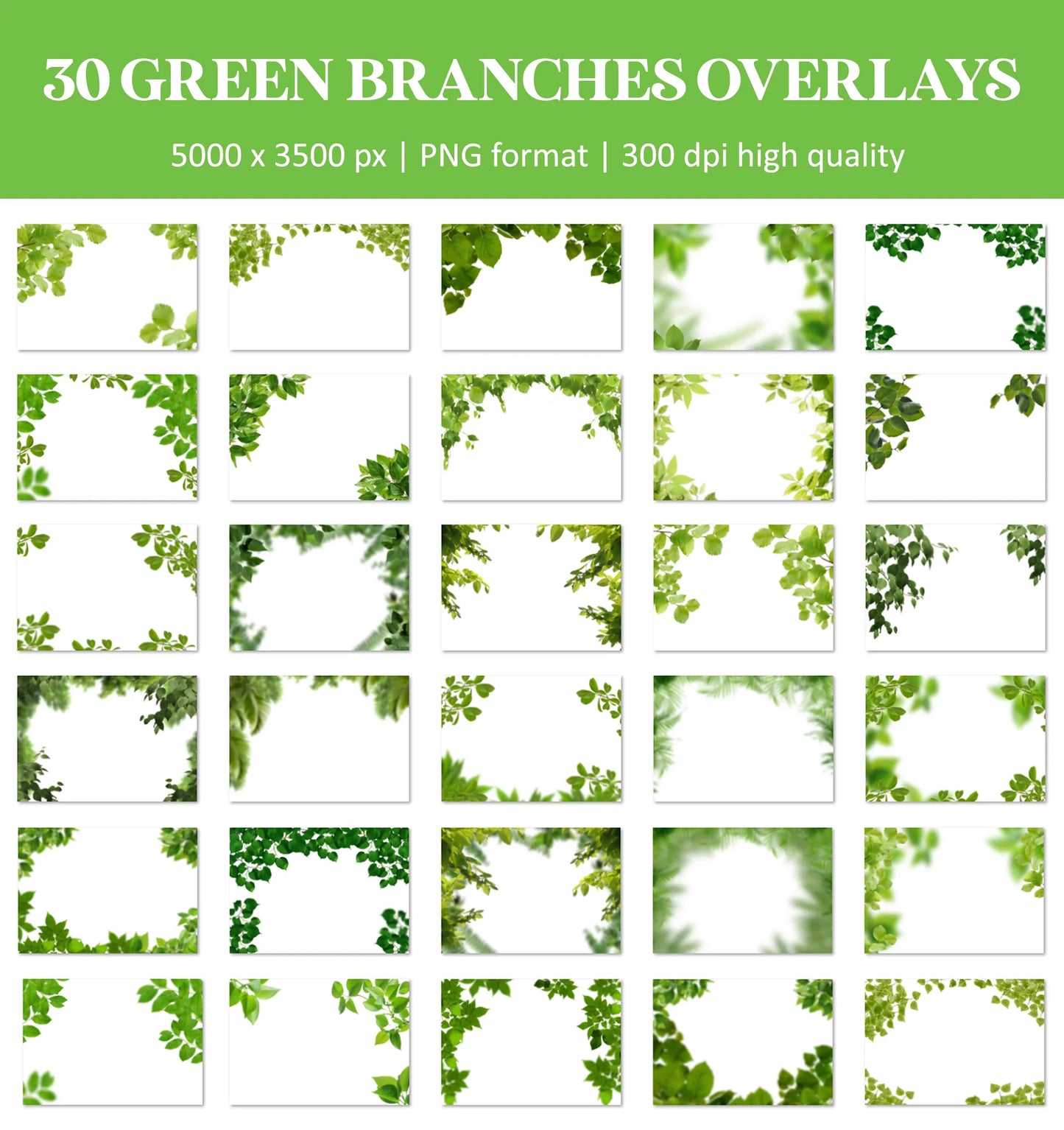 Tree Branch Overlays for Photoshop - Green Leaf Shoot-Throughs