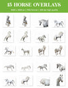 Unicorn Overlays for Photoshop - Fantasy Creature and Magic Horn Effects