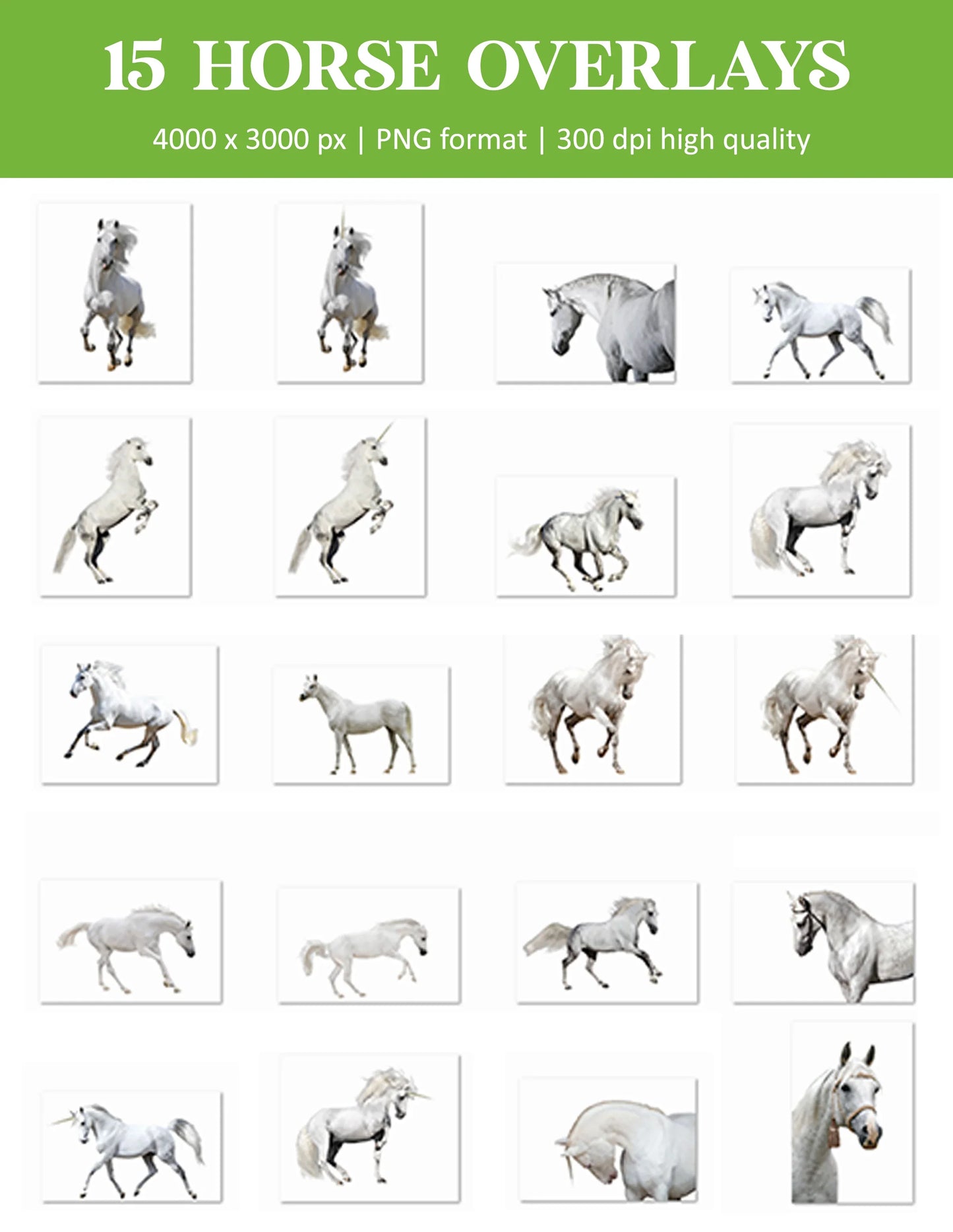 Unicorn Overlays for Photoshop - Fantasy Creature and Magic Horn Effects