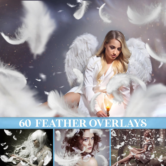 White Feather Overlays for Photoshop - Falling and Floating Feathers