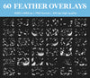 White Feather Overlays for Photoshop - Falling and Floating Feathers