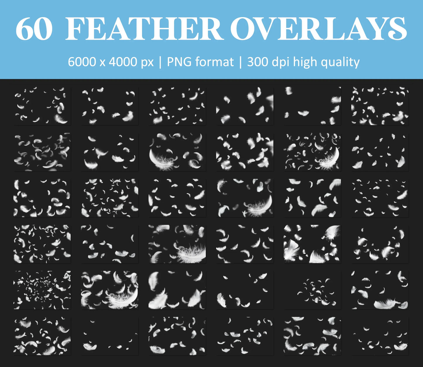White Feather Overlays for Photoshop - Falling and Floating Feathers