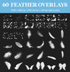 White Feather Overlays for Photoshop - Falling and Floating Feathers